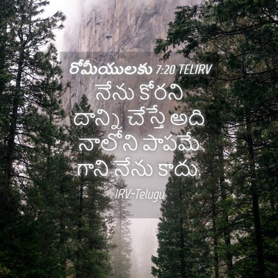 Picture 04 - రోమీయులకు 7:20 TELIRV - నేను కోరని దాన్ని - Bible Verse Picture