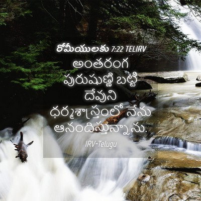Picture 04 - రోమీయులకు 7:22 TELIRV - అంతరంగ పురుషుణ్ణి - Bible Verse Picture