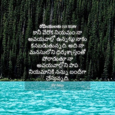 Picture 04 - రోమీయులకు 7:23 TELIRV - కానీ వేరొక నియమం - Bible Verse Picture