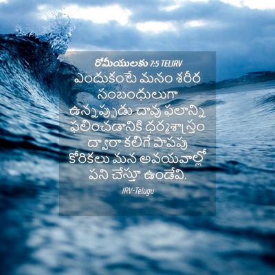 Picture 04 - రోమీయులకు 7:5 TELIRV - ఎందుకంటే మనం శరీర - Bible Verse Picture