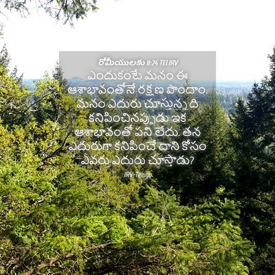 Picture 04 - రోమీయులకు 8:24 TELIRV - ఎందుకంటే మనం ఈ - Bible Verse Picture