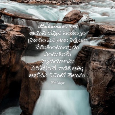 Picture 04 - రోమీయులకు 8:27 TELIRV - ఆయన దేవుని - Bible Verse Picture