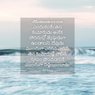 Picture 04 - రోమీయులకు 8:29 TELIRV - ఎందుకంటే తన - Bible Verse Picture