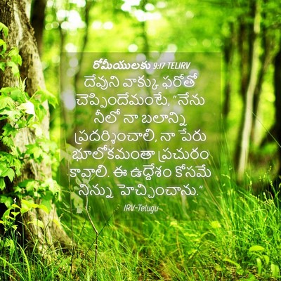 Picture 04 - రోమీయులకు 9:17 TELIRV - దేవుని వాక్కు - Bible Verse Picture