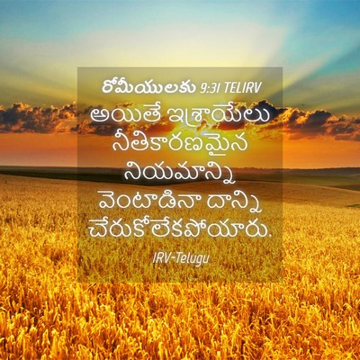 Picture 04 - రోమీయులకు 9:31 TELIRV - అయితే ఇశ్రాయేలు - Bible Verse Picture