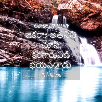 Picture 04 - లూకా 1:12 TELIRV - జెకర్యా అతనిని - Bible Verse Picture
