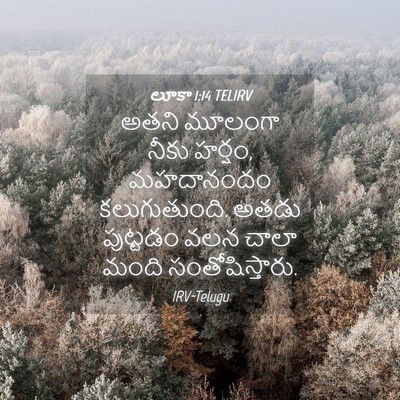 Picture 04 - లూకా 1:14 TELIRV - అతని మూలంగా నీకు - Bible Verse Picture