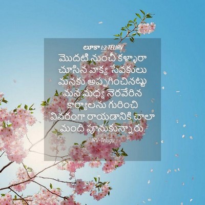 Picture 04 - లూకా 1:2 TELIRV - మొదటి నుంచీ - Bible Verse Picture