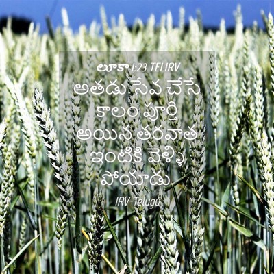 Picture 04 - లూకా 1:23 TELIRV - అతడు సేవ చేసే కాలం - Bible Verse Picture