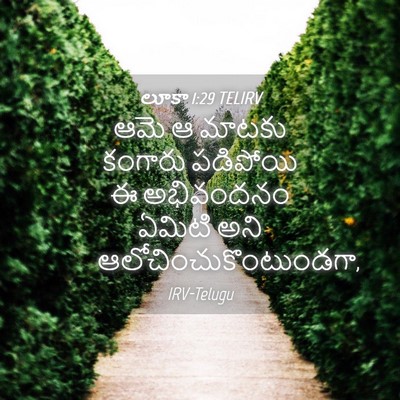 Picture 04 - లూకా 1:29 TELIRV - ఆమె ఆ మాటకు కంగారు - Bible Verse Picture