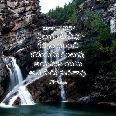 Picture 04 - లూకా 1:31 TELIRV - ఎలాగంటే నీవు - Bible Verse Picture