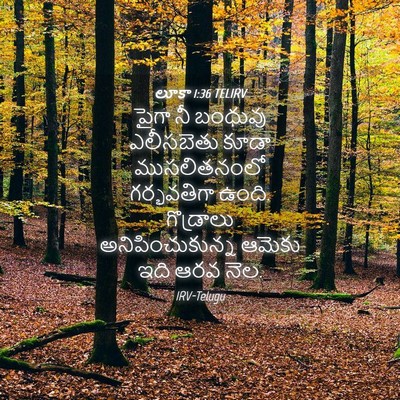 Picture 04 - లూకా 1:36 TELIRV - పైగా నీ బంధువు - Bible Verse Picture
