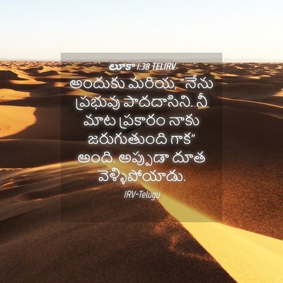 Picture 04 - లూకా 1:38 TELIRV - అందుకు మరియ, “నేను - Bible Verse Picture