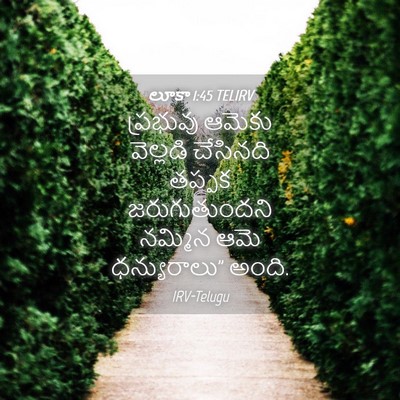 Picture 04 - లూకా 1:45 TELIRV - ప్రభువు ఆమెకు - Bible Verse Picture