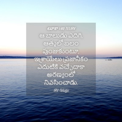Picture 04 - లూకా 1:80 TELIRV - ఆ బాలుడు ఎదిగి, - Bible Verse Picture