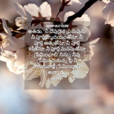 Picture 04 - లూకా 10:27 TELIRV - అతడు, “నీ దేవుడైన - Bible Verse Picture