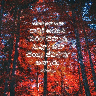 Picture 04 - లూకా 10:28 TELIRV - దానికి ఆయన, - Bible Verse Picture