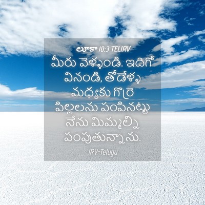 Picture 04 - లూకా 10:3 TELIRV - మీరు వెళ్ళండి. - Bible Verse Picture