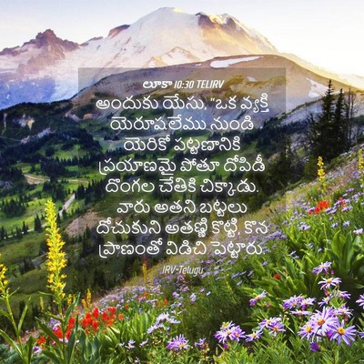 Picture 04 - లూకా 10:30 TELIRV - అందుకు యేసు, “ఒక - Bible Verse Picture