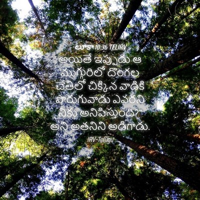 Picture 04 - లూకా 10:36 TELIRV - అయితే ఇప్పుడు ఆ - Bible Verse Picture