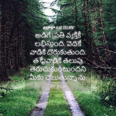 Picture 04 - లూకా 11:10 TELIRV - అడిగే ప్రతి - Bible Verse Picture