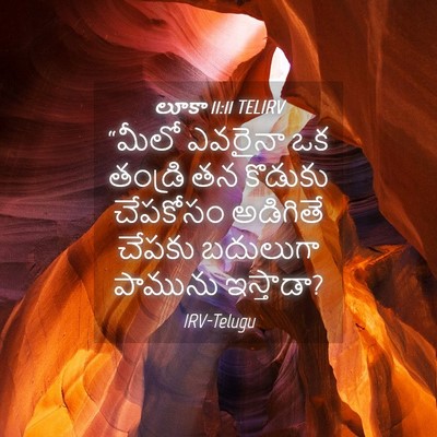 Picture 04 - లూకా 11:11 TELIRV - “మీలో ఎవరైనా ఒక - Bible Verse Picture