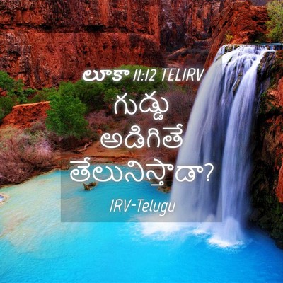 Picture 04 - లూకా 11:12 TELIRV - గుడ్డు అడిగితే - Bible Verse Picture