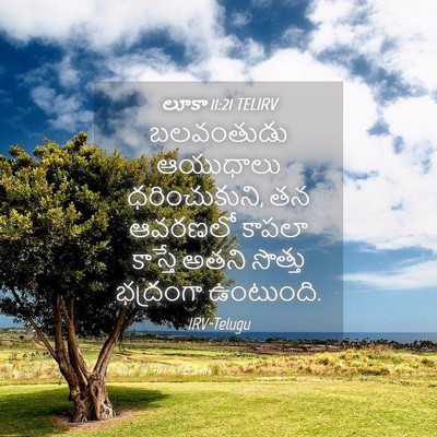 Picture 04 - లూకా 11:21 TELIRV - బలవంతుడు ఆయుధాలు - Bible Verse Picture