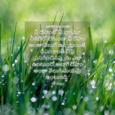 Picture 04 - లూకా 11:36 TELIRV - నీ దేహంలో ఏ భాగమూ - Bible Verse Picture