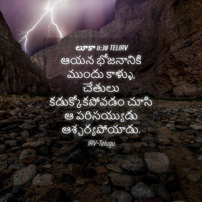 Picture 04 - లూకా 11:38 TELIRV - ఆయన భోజనానికి - Bible Verse Picture