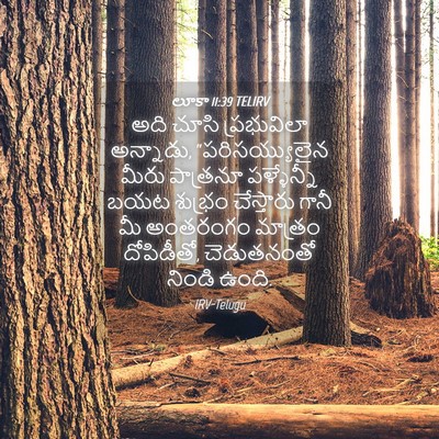 Picture 04 - లూకా 11:39 TELIRV - అది చూసి - Bible Verse Picture