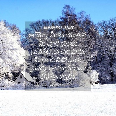 Picture 04 - లూకా 11:47 TELIRV - అయ్యో, మీకు యాతన, - Bible Verse Picture