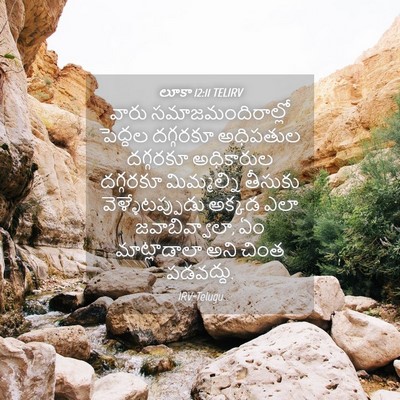 Picture 04 - లూకా 12:11 TELIRV - వారు - Bible Verse Picture
