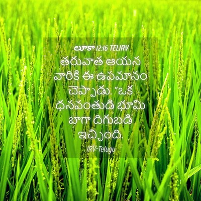 Picture 04 - లూకా 12:16 TELIRV - తరువాత ఆయన వారికి - Bible Verse Picture