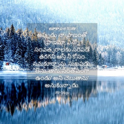 Picture 04 - లూకా 12:19 TELIRV - అప్పుడు నా - Bible Verse Picture