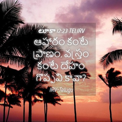 Picture 04 - లూకా 12:23 TELIRV - ఆహారం కంటే ప్రాణం, - Bible Verse Picture