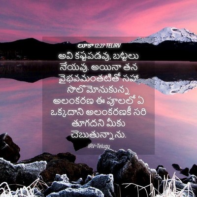 Picture 04 - లూకా 12:27 TELIRV - అవి కష్టపడవు, - Bible Verse Picture