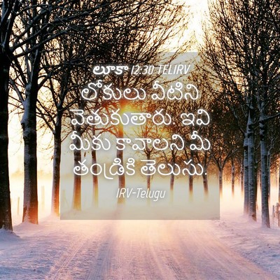 Picture 04 - లూకా 12:30 TELIRV - లోకులు వీటిని - Bible Verse Picture