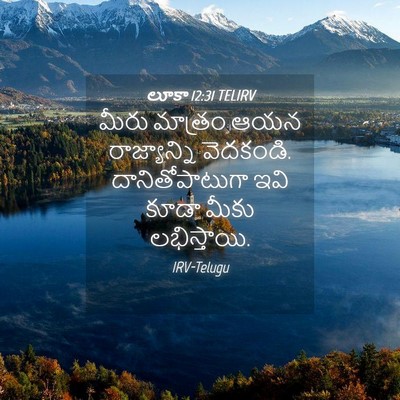 Picture 04 - లూకా 12:31 TELIRV - మీరు మాత్రం ఆయన - Bible Verse Picture