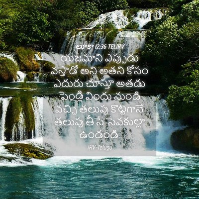 Picture 04 - లూకా 12:36 TELIRV - యజమాని ఎప్పుడు - Bible Verse Picture