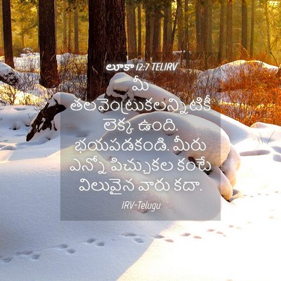 Picture 04 - లూకా 12:7 TELIRV - మీ - Bible Verse Picture