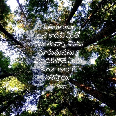 Picture 04 - లూకా 13:5 TELIRV - కానే కాదని మీతో - Bible Verse Picture