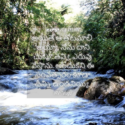 Picture 04 - లూకా 13:8 TELIRV - అయితే ఆ తోటమాలి, - Bible Verse Picture