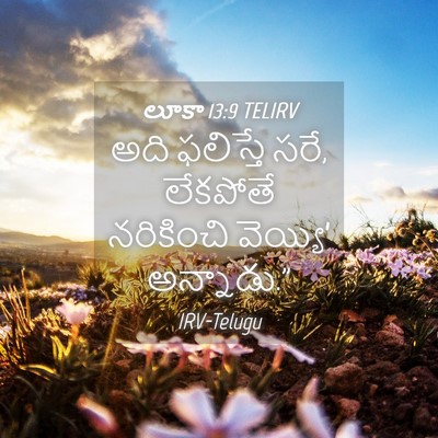 Picture 04 - లూకా 13:9 TELIRV - అది ఫలిస్తే సరే, - Bible Verse Picture