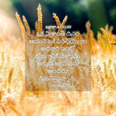 Picture 04 - లూకా 14:1 TELIRV - ఒక విశ్రాంతి దినం - Bible Verse Picture