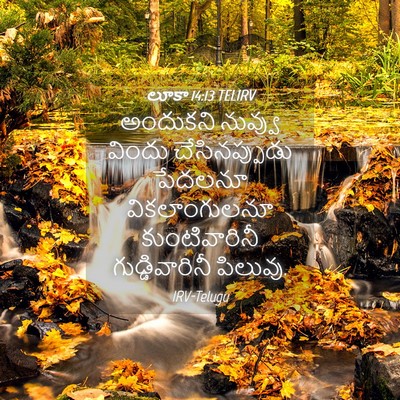 Picture 04 - లూకా 14:13 TELIRV - అందుకని నువ్వు - Bible Verse Picture