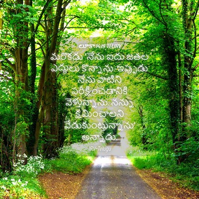 Picture 04 - లూకా 14:19 TELIRV - మరొకడు ‘నేను ఐదు - Bible Verse Picture