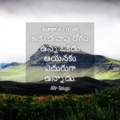 Picture 04 - లూకా 14:2 TELIRV - అక్కడ వాపు రోగం - Bible Verse Picture