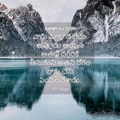 Picture 04 - లూకా 14:4 TELIRV - వారు మాట్లాడలేదు. - Bible Verse Picture