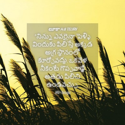 Picture 04 - లూకా 14:8 TELIRV - “నిన్ను ఎవరైనా - Bible Verse Picture